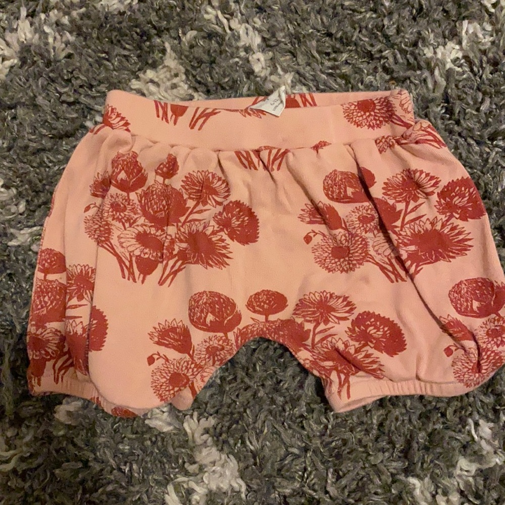 Kate quinn Dahlia shorts